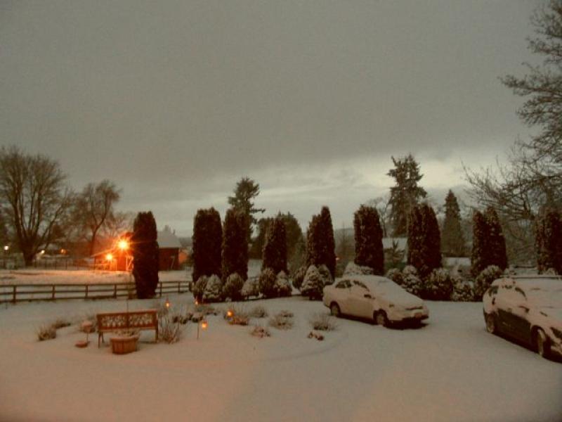 Yard Landscaping Pictures & Ideas: Circle of Snow